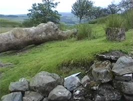 View from the front door of Bryn Poeth Uchaf youth hostel showing the only access path to the hostel